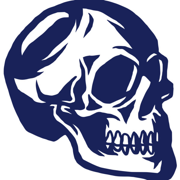 Elements Skulls logo template 139 Miniaturansicht