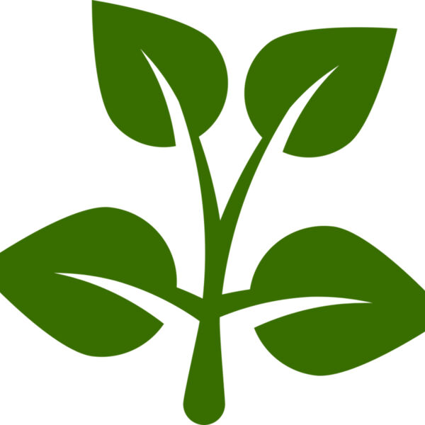 15 Leaves Miniaturansicht