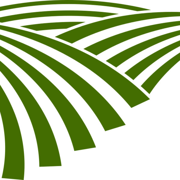 71 Rice Field Miniaturansicht