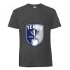 Herren T-Shirt Iconic 195 Ringspun Premium T Miniaturansicht